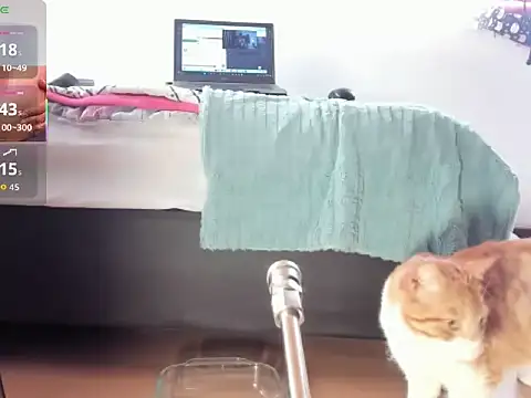   Aragon   online show from 11/04/25, 02:38