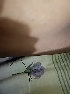 kajal jadhav online show from 10/29/25, 08:54