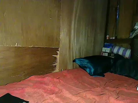 Snapshot of wildcat30 chatting on 11/01/25, 10:23 wildcat30 online show from 11/01/25, 10:23