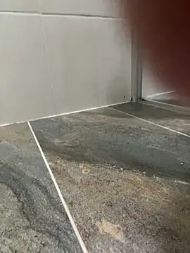 Snapshot of Dani_anal_ts chatting on 10/29/25, 08:54 Dani anal ts online show from 10/29/25, 08:54