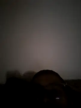 memonsait online show from 10/20/25, 04:24