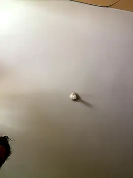 Snapshot of Techi0525 chatting on 12/16/25, 05:18 Techi0525 online show from 12/16/25, 05:18