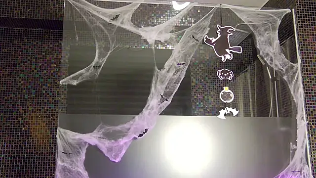 Snapshot of LisFowler chatting on 10/26/25, 04:07 LisFowler online show from 10/26/25, 04:07