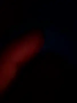 Polito456 online show from 10/24/25, 07:27