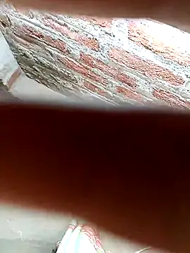 Rajni chauhan online show from 11/25/25, 09:42