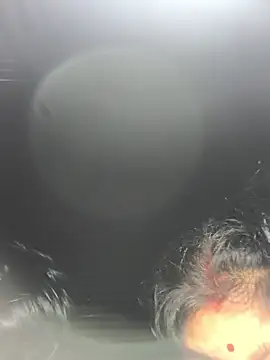 Snapshot of Ragni_bhargav chatting on 01/19/26, 04:22 Ragni bhargav online show from 01/19/26, 04:22