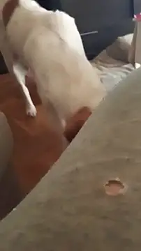 Snapshot of goloso80 chatting on 10/22/25, 01:11 goloso80 online show from 10/22/25, 01:11