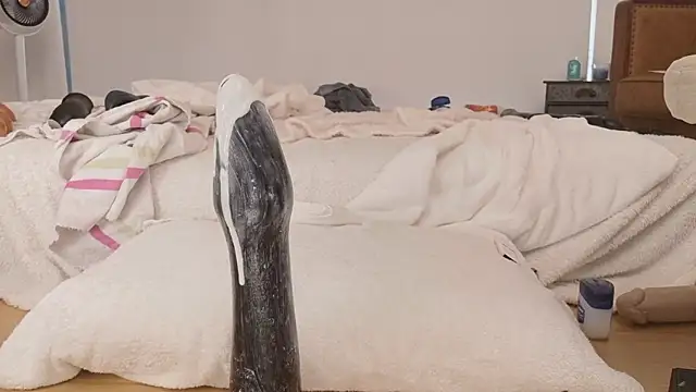 gape party online show from 05/12/26, 10:51