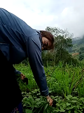 omai-ngot online show from 10/26/25, 01:22