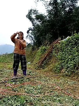 omai-ngot online show from 11/17/25, 02:17