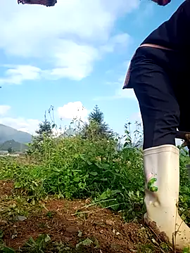 Snapshot of nui-show chatting on 11/16/25, 01:44 nui-show online show from 11/16/25, 01:44