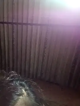 Snapshot of M-MAYA chatting on 12/02/25, 05:41 M-MAYA online show from 12/02/25, 05:41