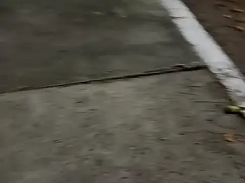 roludao fun online show from 12/04/25, 10:07