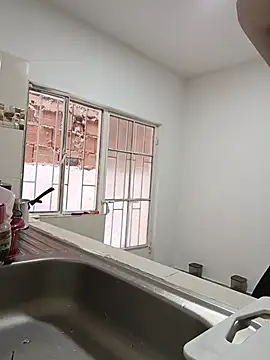 Snapshot of Ladyswap chatting on 11/27/25, 07:49 Ladyswap online show from 11/27/25, 07:49