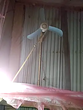 Squirrel-Pear online show from 12/04/25, 12:25