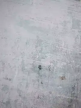 thanuja- online show from 10/23/25, 10:14