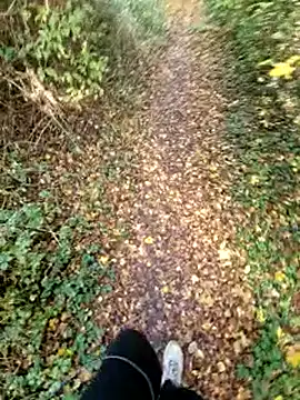 bbyxklaus online show from 11/09/25, 10:57