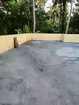 bhujaman online show from 11/01/25, 01:07