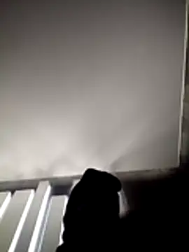 Snapshot of portuguesacasada chatting on 11/12/25, 06:30 portuguesacasada online show from 11/12/25, 06:30