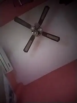 Danii2005 online show from 11/06/25, 01:34