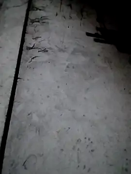 Snapshot of rickkis2k chatting on 12/13/25, 09:53 rickkis2k online show from 12/13/25, 09:53