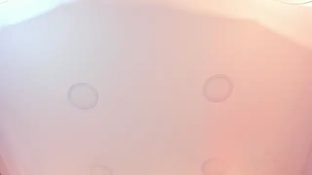 thara  smith online show from 10/25/25, 08:00