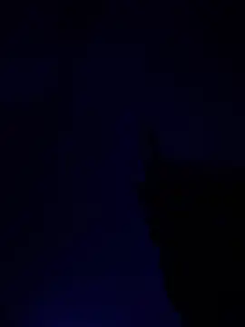 alfarabisami online show from 06/10/26, 09:03