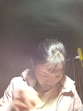 Snapshot of dinnavi chatting on 11/01/25, 09:17 dinnavi online show from 11/01/25, 09:17