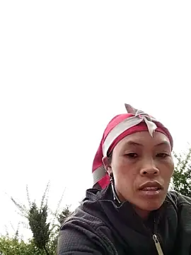 Snapshot of dinnavi chatting on 11/20/25, 01:17 dinnavi online show from 11/20/25, 01:17