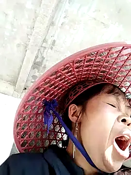 Snapshot of dinnavi chatting on 11/24/25, 02:44 dinnavi online show from 11/24/25, 02:44