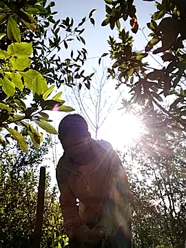 Snapshot of dinnavi chatting on 11/25/25, 01:49 dinnavi online show from 11/25/25, 01:49