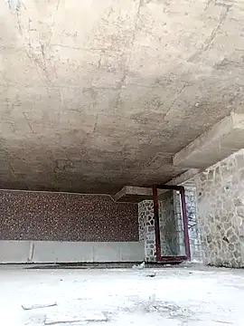 Snapshot of dinnavi chatting on 11/26/25, 04:35 dinnavi online show from 11/26/25, 04:35