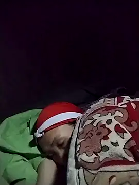 Snapshot of dinnavi chatting on 11/28/25, 06:54 dinnavi online show from 11/28/25, 06:54