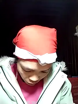 Snapshot of dinnavi chatting on 11/29/25, 10:24 dinnavi online show from 11/29/25, 10:24