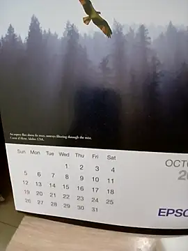 Kolkatacock06 online show from 10/24/25, 02:02