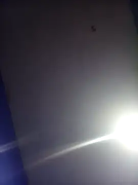 HSexy Men00 online show from 11/26/25, 08:59