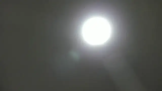  Asshley bensoon  online show from 11/05/25, 02:39