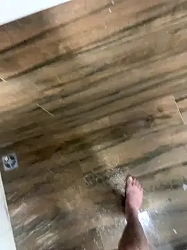 bfelipedasilva online show from 12/04/25, 09:56