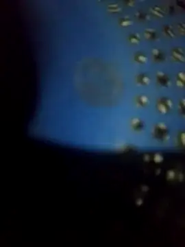 gugugyu online show from 10/29/25, 09:22