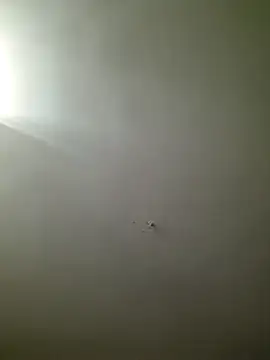 HarrySchwanz1000 online show from 10/27/25, 02:59