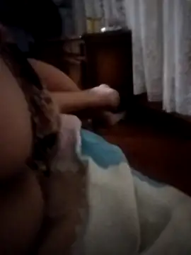 Snapshot of pampa4456 chatting on 12/16/25, 05:23 pampa4456 online show from 12/16/25, 05:23