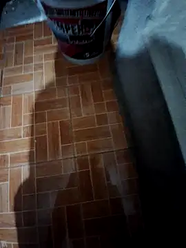 Snapshot of sanz957 chatting on 11/29/25, 03:59 sanz957 online show from 11/29/25, 03:59