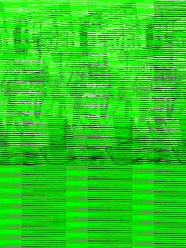 paularois online show from 11/14/25, 03:38