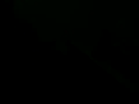 Snapshot of giovanift111 chatting on 10/29/25, 11:17 giovanift111 online show from 10/29/25, 11:17