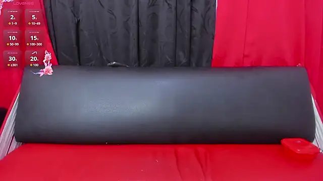 In my room anything goes online show from 07/06/26, 04:09