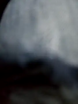 negro2828 online show from 10/27/25, 10:58