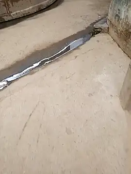 Pandey0012 online show from 10/28/25, 02:26