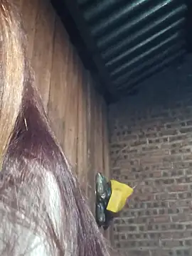 HGiasexy69 online show from 11/02/25, 10:23