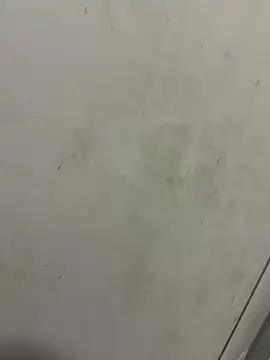 Isamperry69 online show from 10/31/25, 04:02