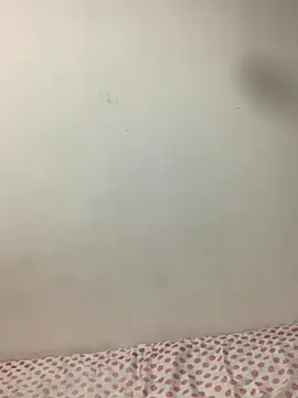 Snapshot of vanessa-242424 chatting on 11/05/25, 12:10 vanessa-242424 online show from 11/05/25, 12:10